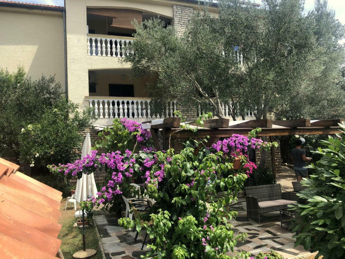 Guesthouse Vila Ruzmarin Zdrelac Ngoại thất bức ảnh